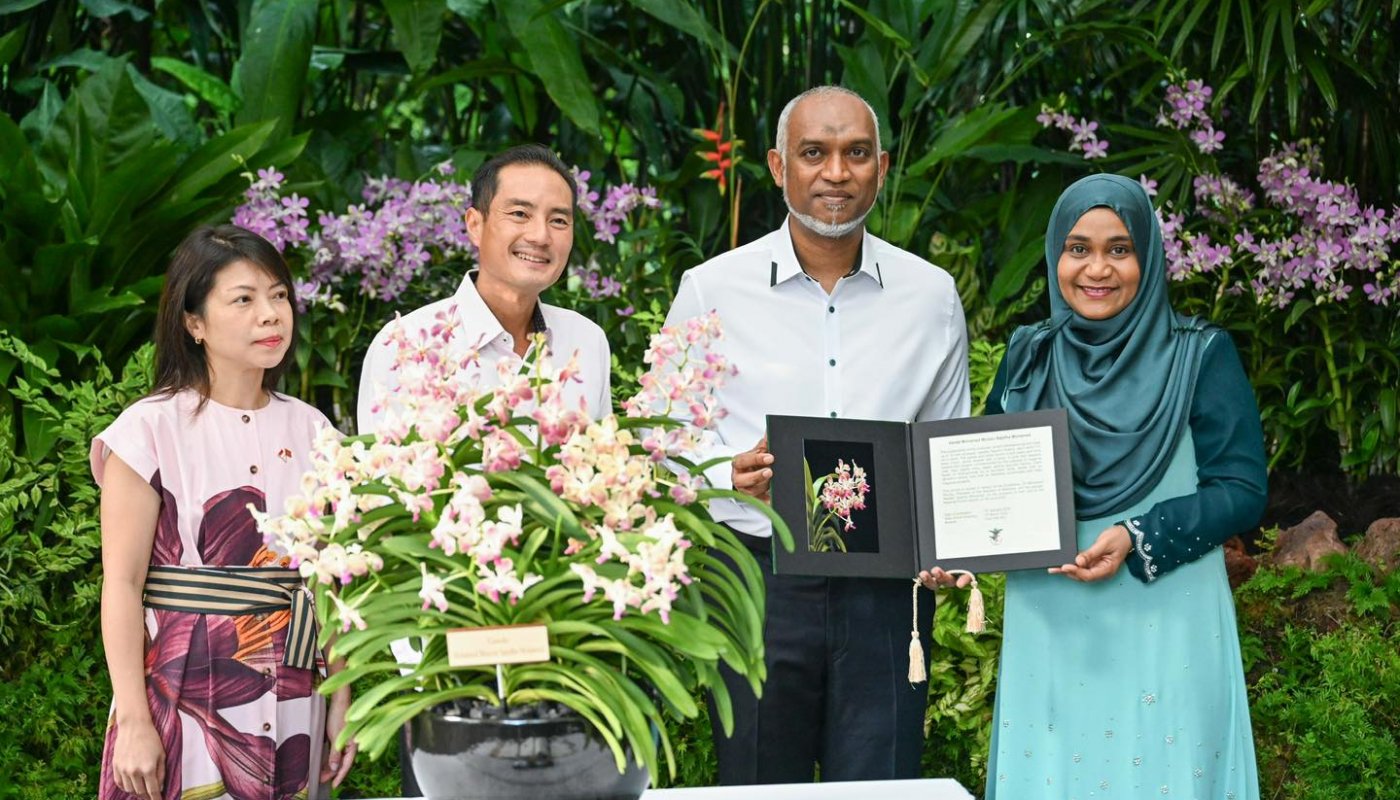article_image