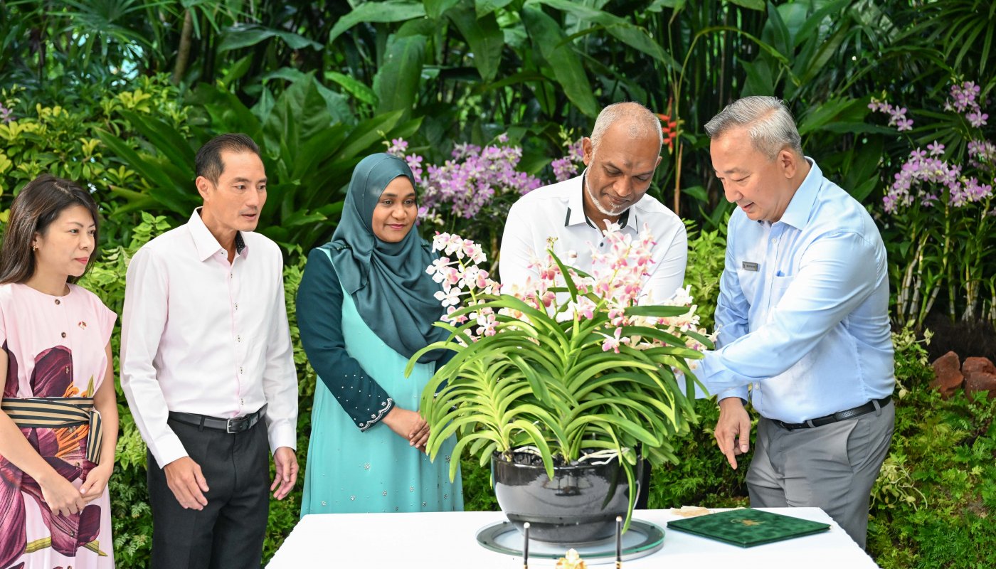 article_image